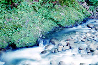 0819004.jpg